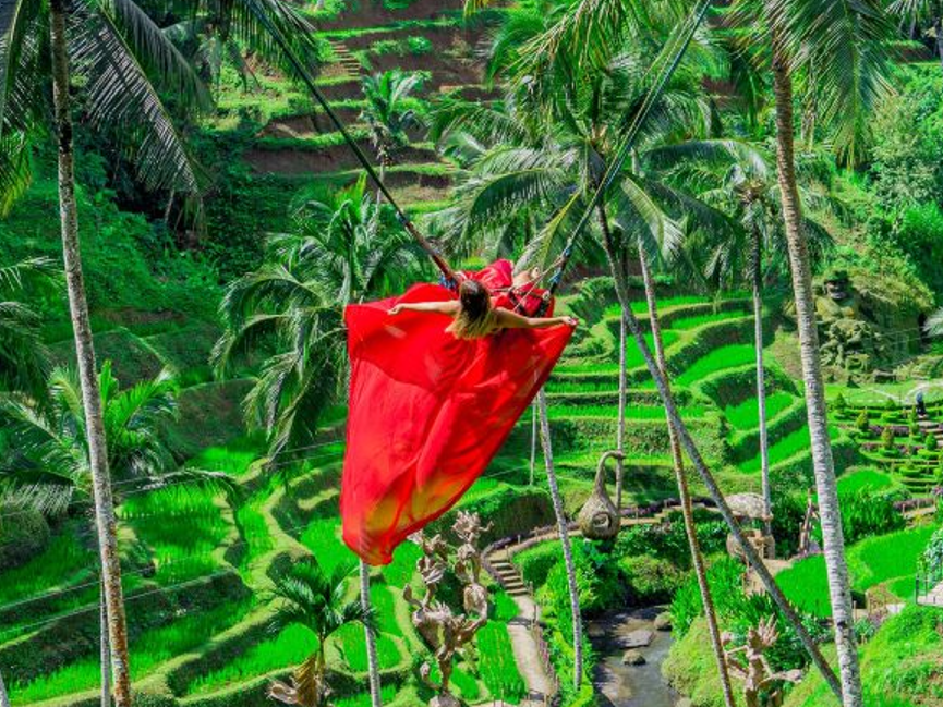 烏布網紅秘境 Alas Harum Bali